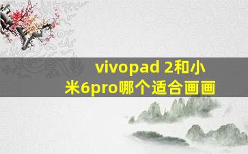 vivopad 2和小米6pro哪个适合画画